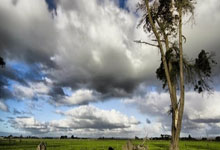 库里赛事官方发布势不可挡新规，DWG争议不断！